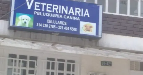 VETERIARIA PELUQUERIA CANINA VETERIARIA PELUQUERIA CANINA
